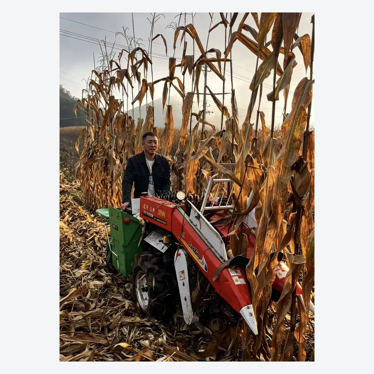 4ZY-1 single-row corn harvester