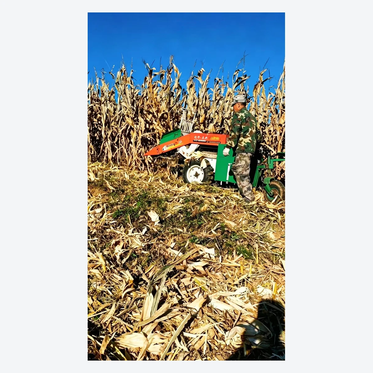 4ZY-1 single-row corn harvester