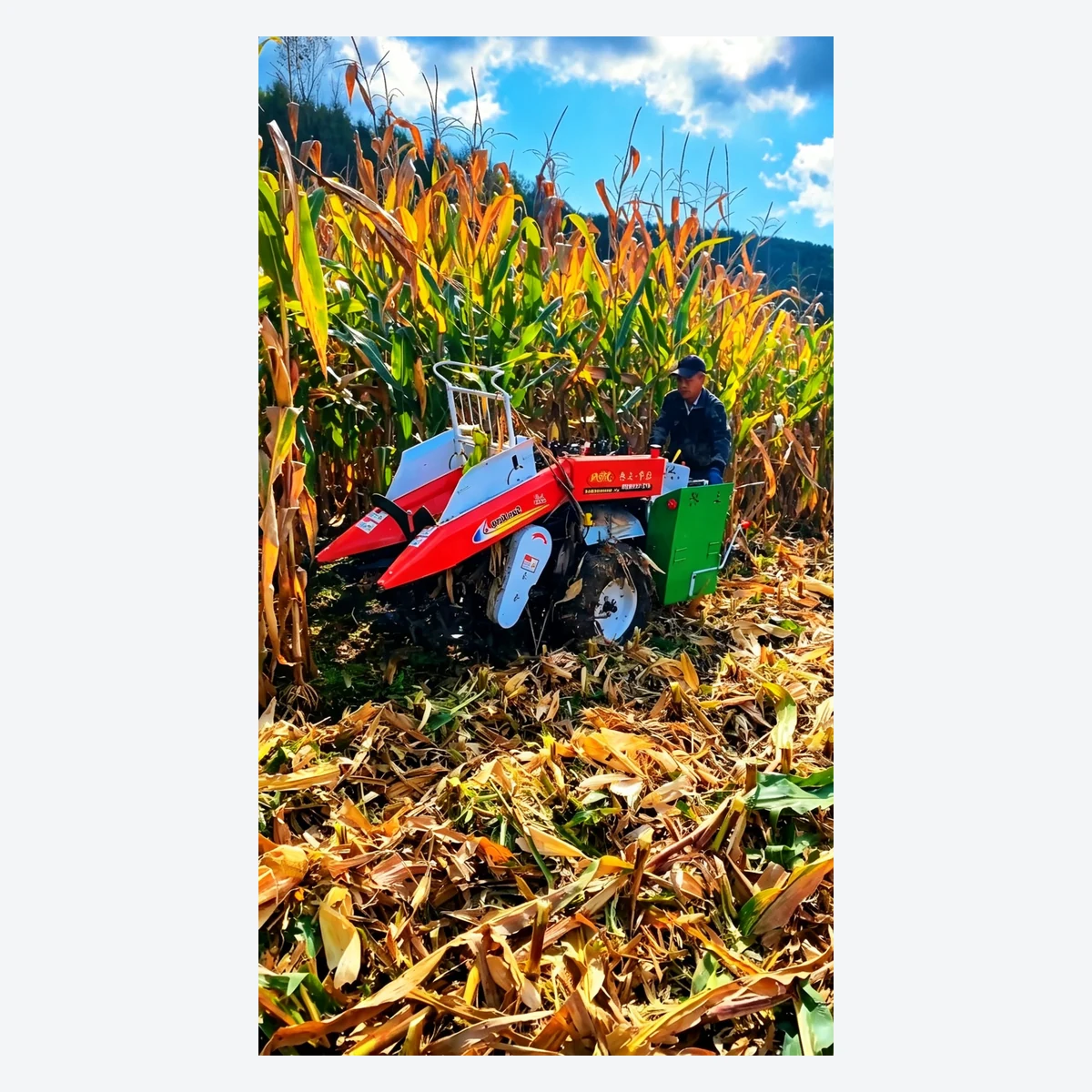 4ZY-1 single-row corn harvester