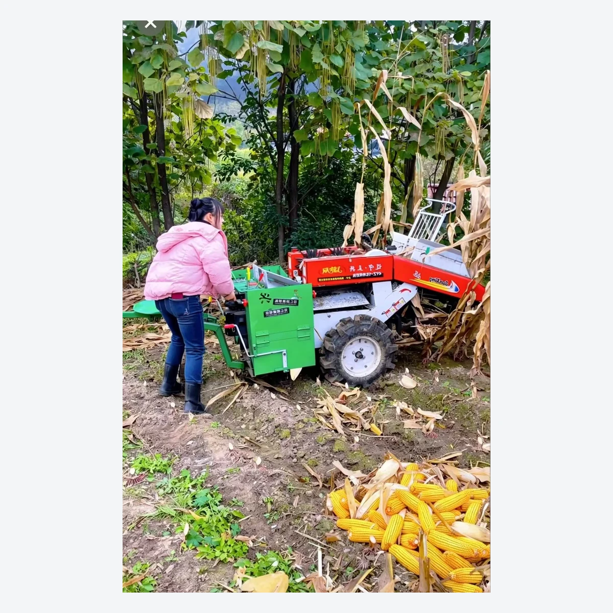 4ZY-1 single-row corn harvester