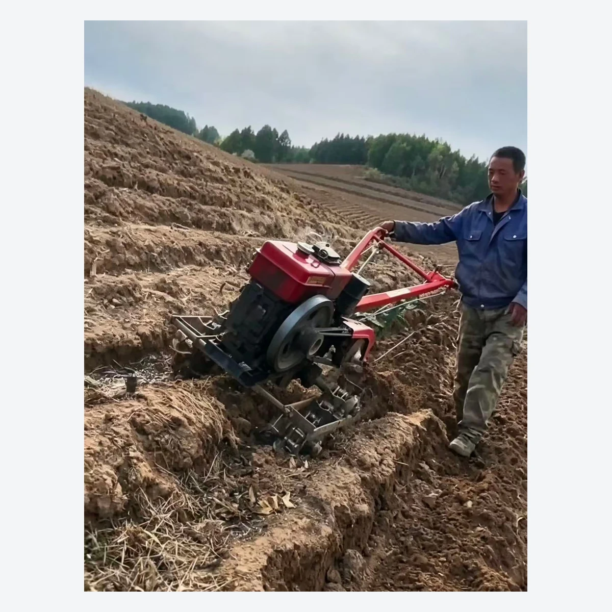 3TG-5.5 diesel garden management machine