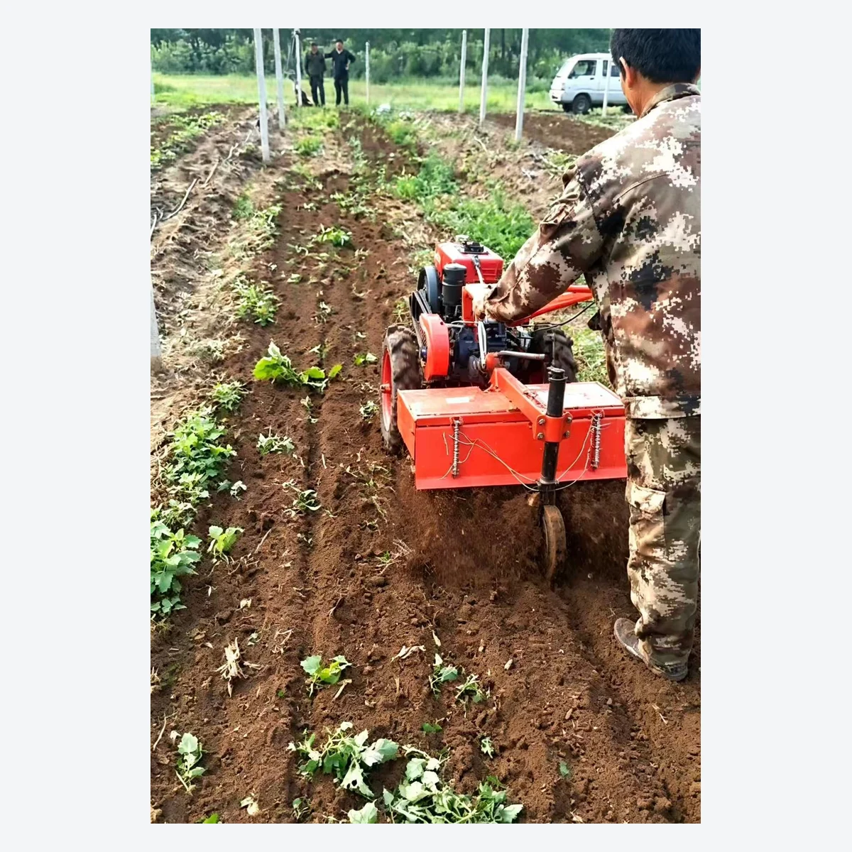 3TG-5.5 diesel garden management machine